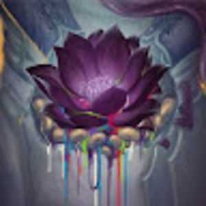 Meet your Posher, Derrick